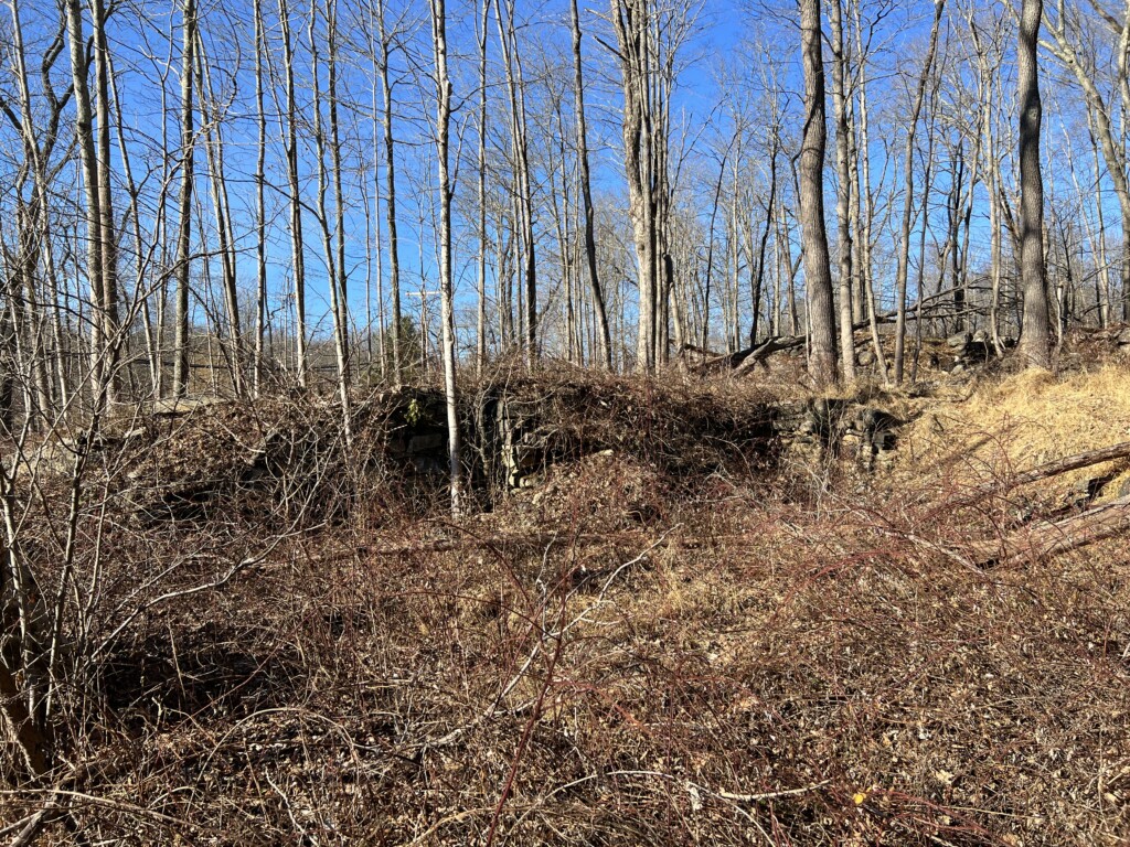 The Foundation of the Yerkes (Yerks) Tavern